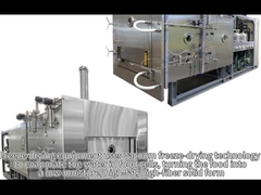 Equipamento de secagem por congelamento a vácuo Quanto customizar para máquina de secagem por congelamento
